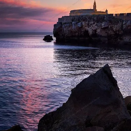 Kerala 49, Deluxe Flat In Historic Center