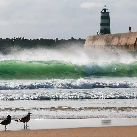 Kerala 49, Deluxe Flat In Historic Center דירה