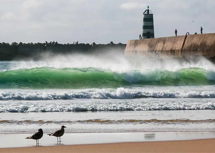 Kerala 49, Deluxe Flat In Historic Center Apartmán